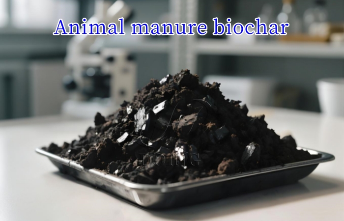 Animal manure biochar 