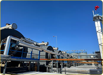 China pyrolysis plant case