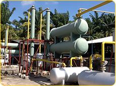 Malaysia pyrolysis plant case