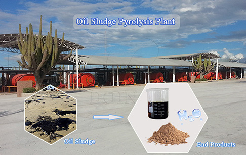 Why do pyrolysis plant become a popular oil sludge treatment way?